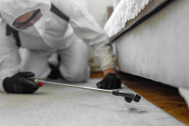 Professional Termite Control technician working in Swisher County County, TX